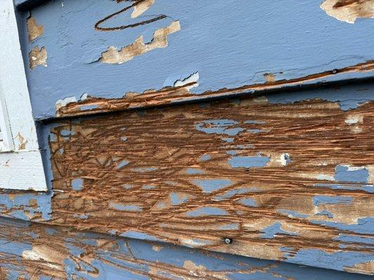 Bull  C&L Construction & Painting