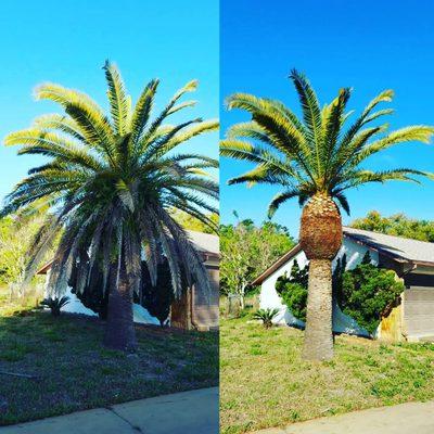 Scissorhands Lawn Service