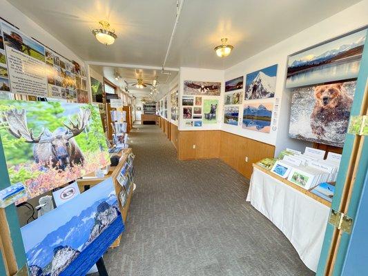 BearHead Photography