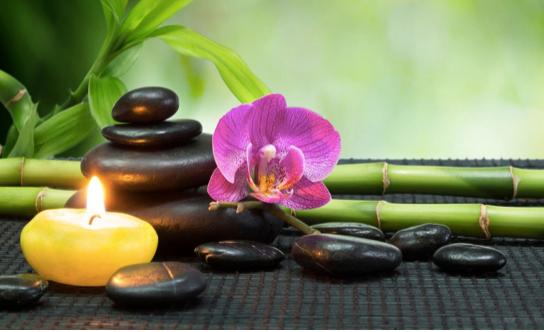 Chidragon Acupuncture