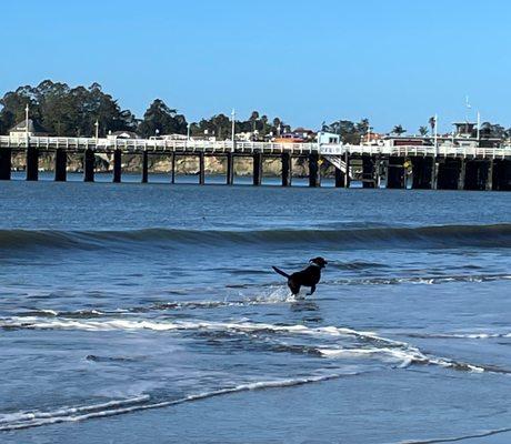 Cal West Appraisal Services