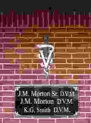 Mortons Small Animal Clinic: Trusted Care for Your Pets