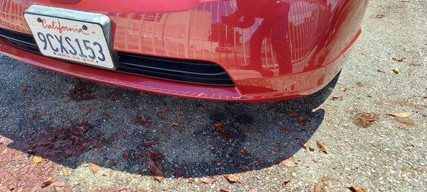 Looks like a new car! I am so happy.