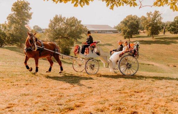 312 Farms & Carriage Company