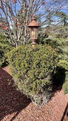 Light of the World Electric Inc