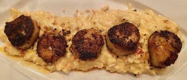Blackened Scallops over Lobster Risotto