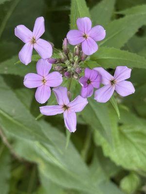 Daybreak Regional Park and Boat Launch