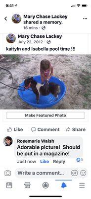 Sundance Oaks Miniature Horse Farm