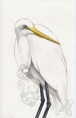 Cassandra Monson - Art Instructor