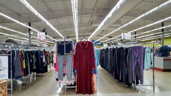 Fluorescent thrift paradise