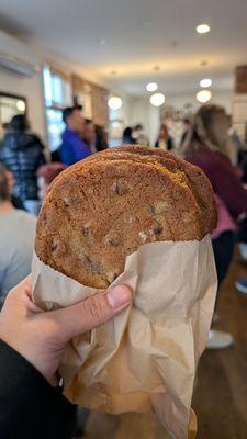 Salted chocolate chip cookie