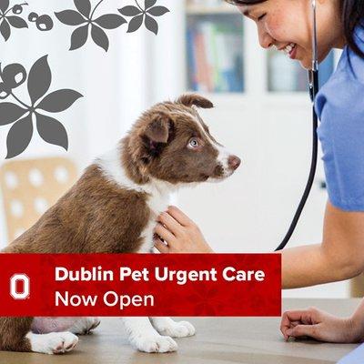 Our urgent care, advanced specialty care and emergency/critical care are meant to compliment your family veterinarian's practice.