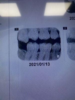 Wanda Chih-Hui Chen, DDS