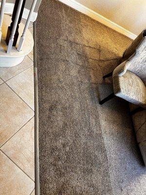 Cleanup Carpet & Tile Care