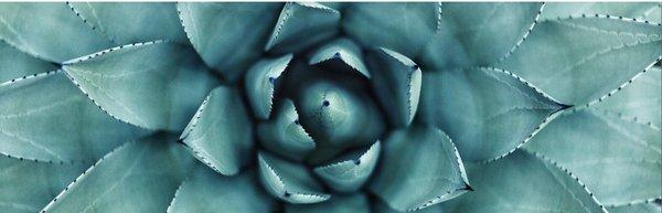 Medical Massage by Nicole