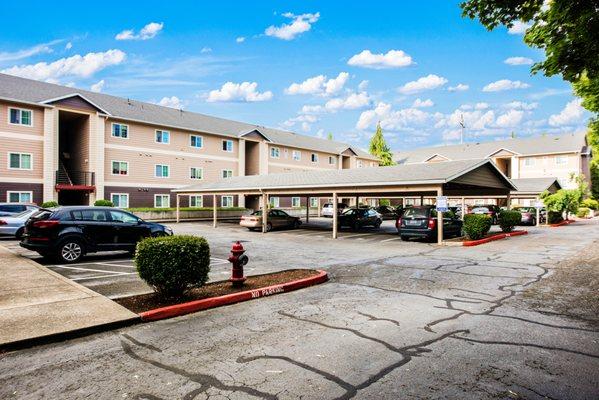 Chelsey Lane Apartments