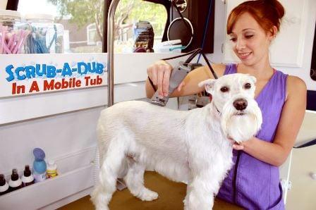 Scrub A Dub Mobile Groomer