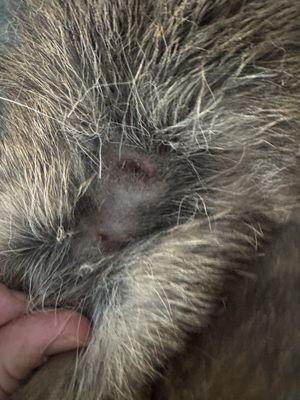 These are just a few!