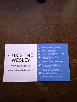 Cleaning Brigade & More