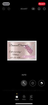 Diamond Cleaners