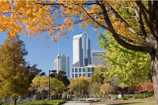 Bryan Palluck - Redefy Real Estate