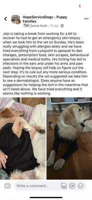 Hope Service Dogs Inc