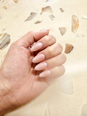 Beautiful seashells collection