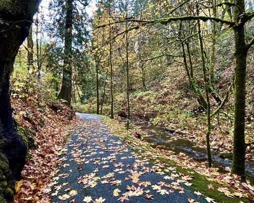 Fall has come to the trail!