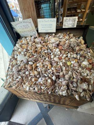 Samuel Jackman Middle School