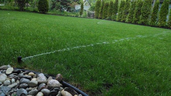 Moreno Landscaping
