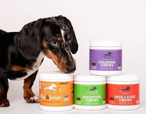 ForeFront Canine Supplements with a Dachshund licking the container