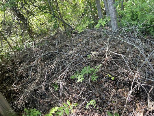 Quality Preservation