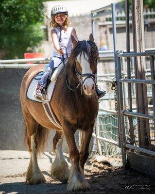 Gypsy Heart Horsemanship