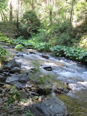 Pacific Crest Trail, Squaw Valley Trailhead