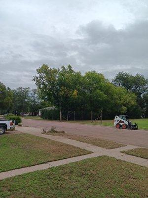 Klein's Tree Service