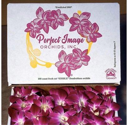 Perfect Image Orchids