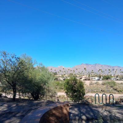 View north off Oracle Drive