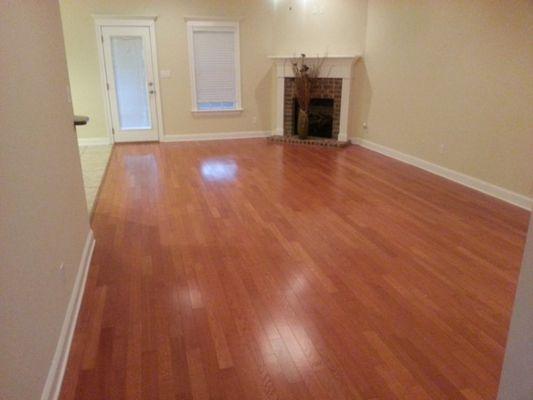 Magnum Nova Cleaning Service