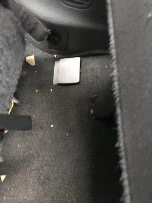 Castle Ride Transportation