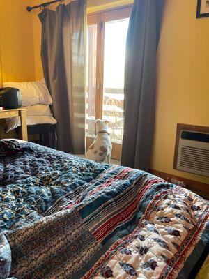 Just enjoying the view!