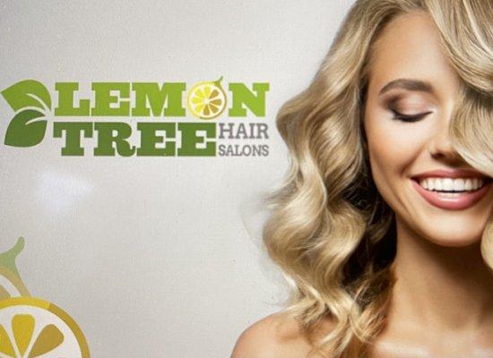 Lemon Tree Hair Salon Hurst
