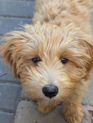 Peninsula Pet Clinic