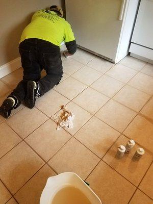 American Total Services