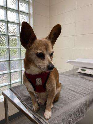 El Sobrante Veterinary Hospital