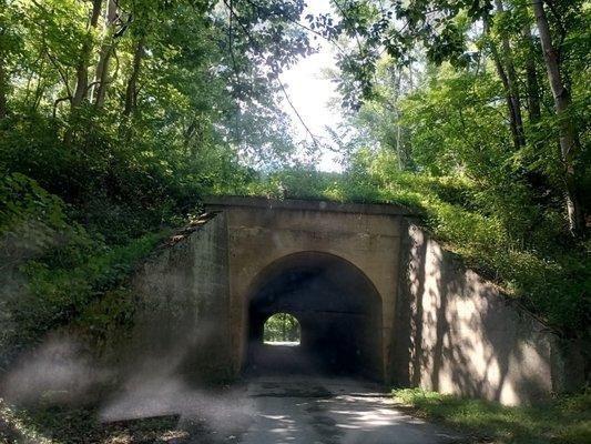 McCoys Ferry Campground