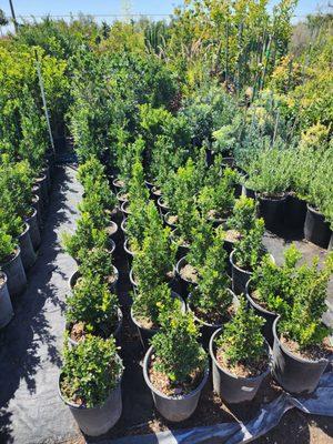 Stepping Stone Nursery