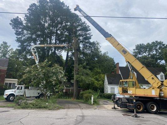 Donnie’s Tree & Landscaping Services