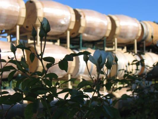 Kristian Story Wines