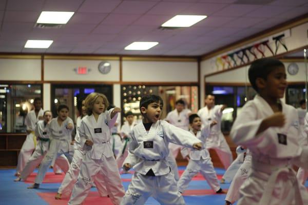 United Martial Art Taekwondo