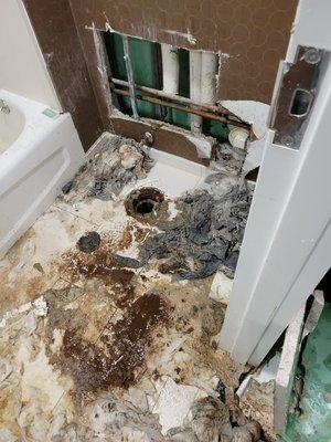 Roto-Rooter Plumbing Sewer & Drain Cleaning Service